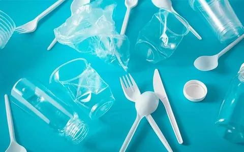 تصویر 5 از قیمت چنگال یکبار مصرف گیاهی+ خرید باور نکردنی